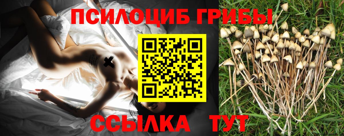 Соль-Илецк  продажа наркотиков  Вход с VPN  Галлюциногенные грибы мухоморы 