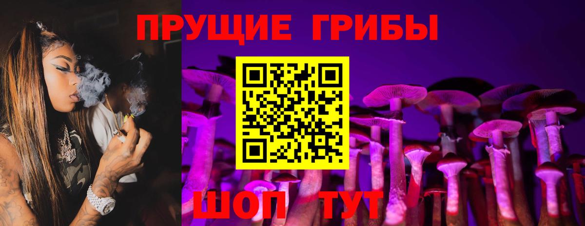 Галлюциногенные грибы MAGIC MUSHROOMS Соль-Илецк